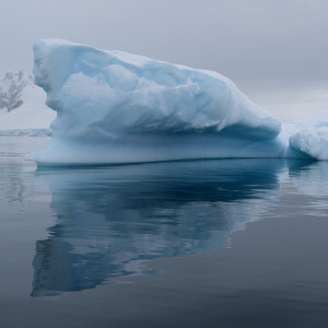 Iceberg IV