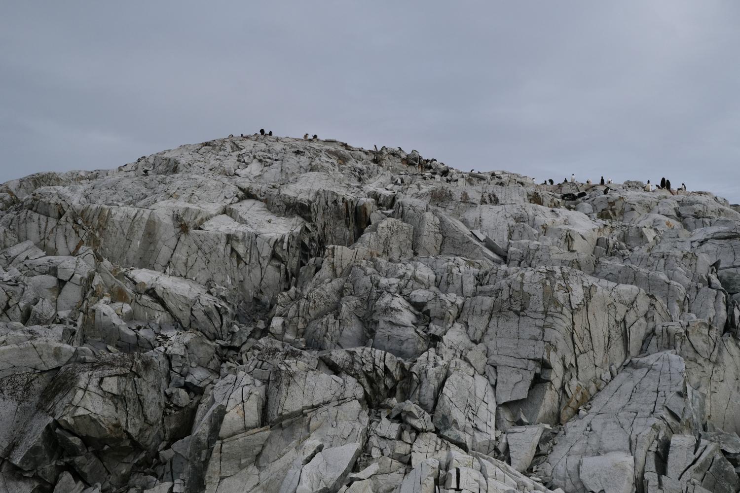 Penguins on the Rocks