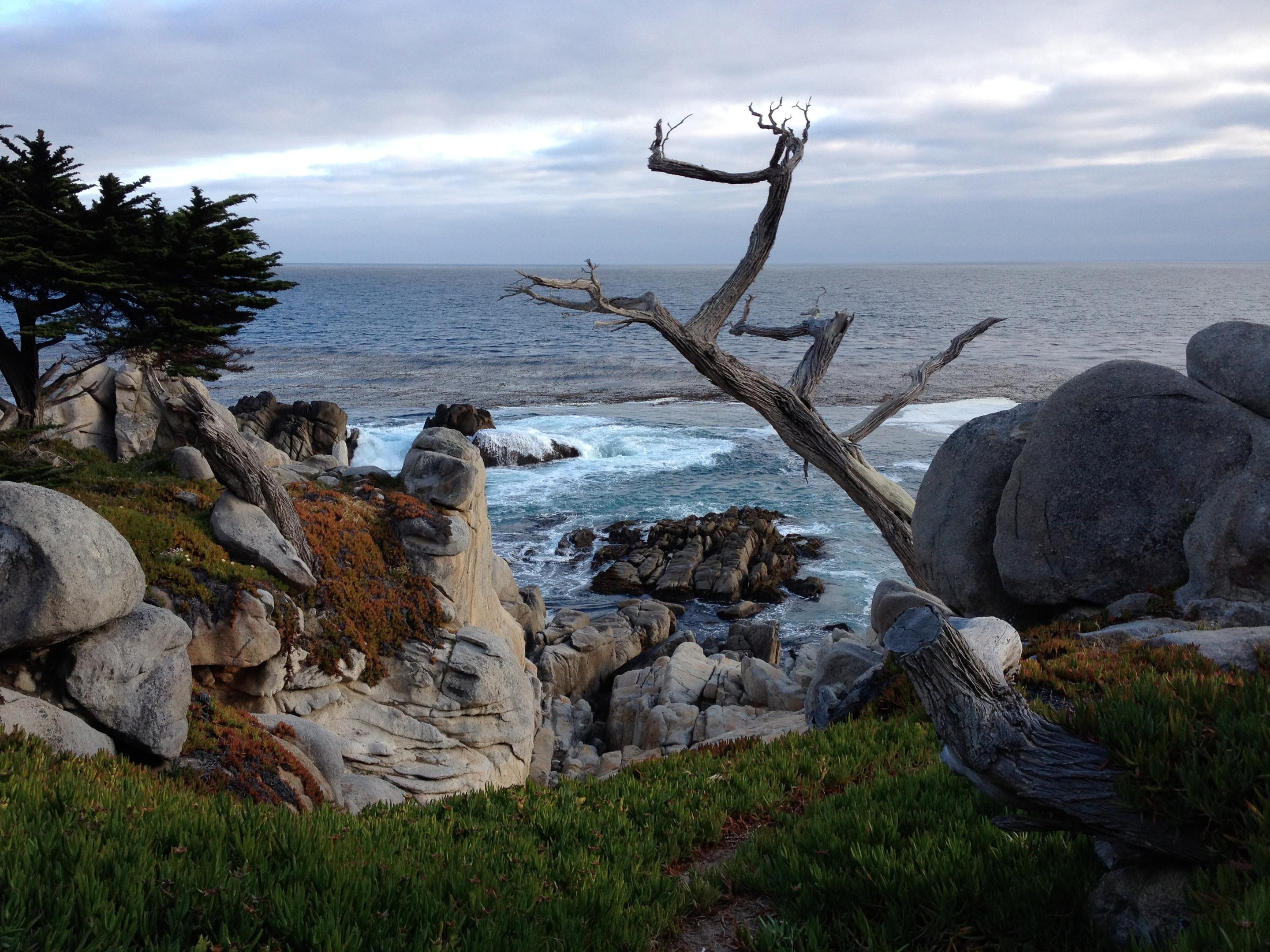 17 Mile Drive