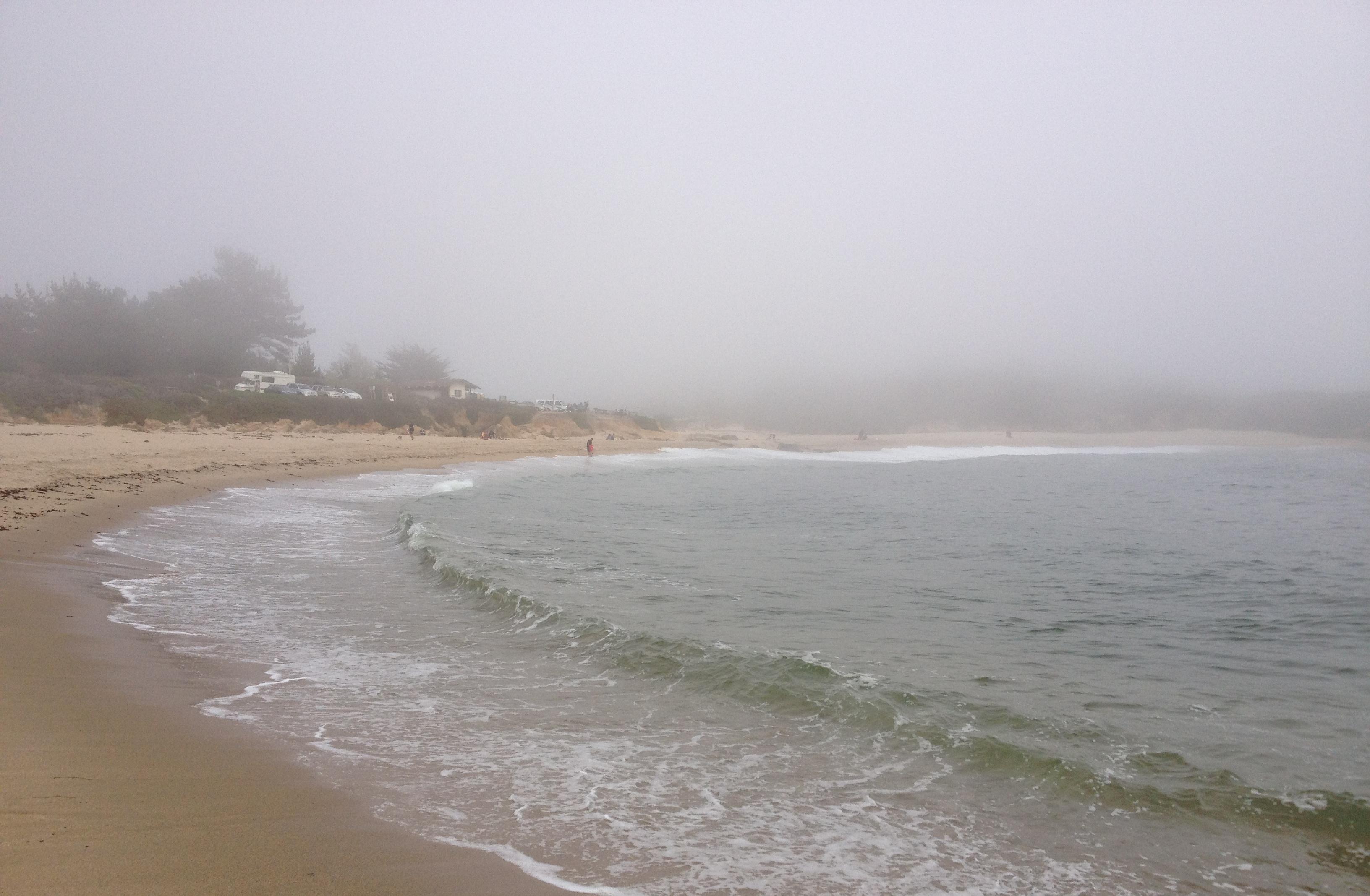 Foggy Beach