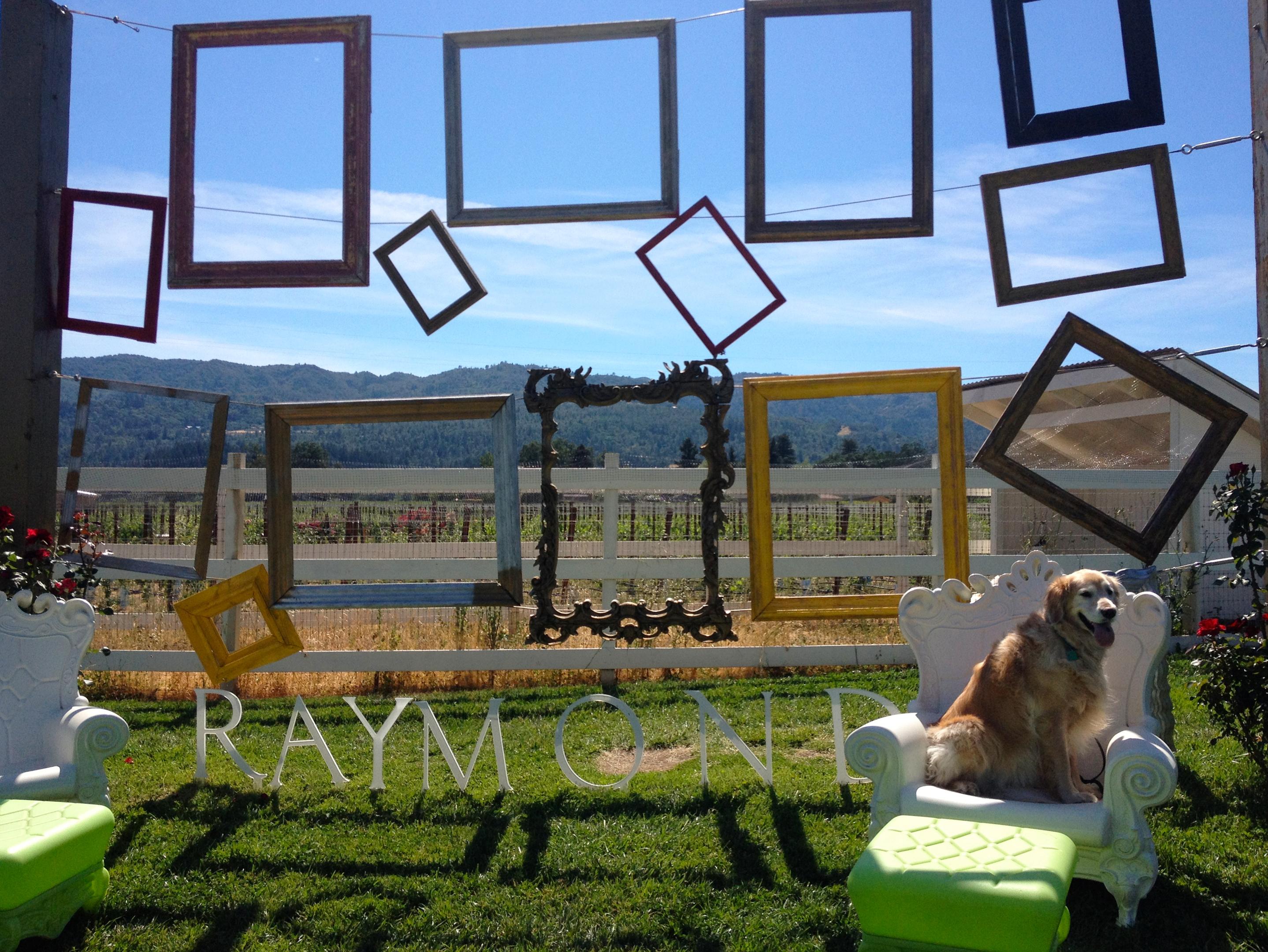 Nutmeg Visits Raymond Vineyard (Napa, California)