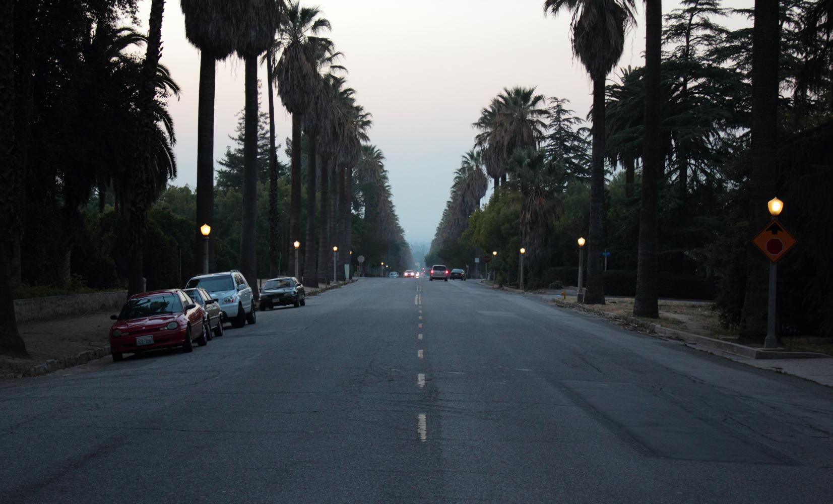 Palm Tree-Lined Street (Redlands, California)