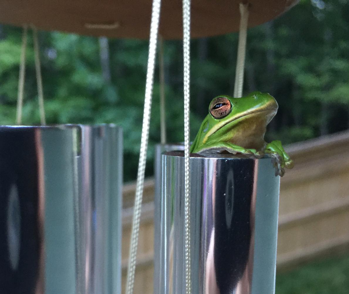 Wind Chime Frog